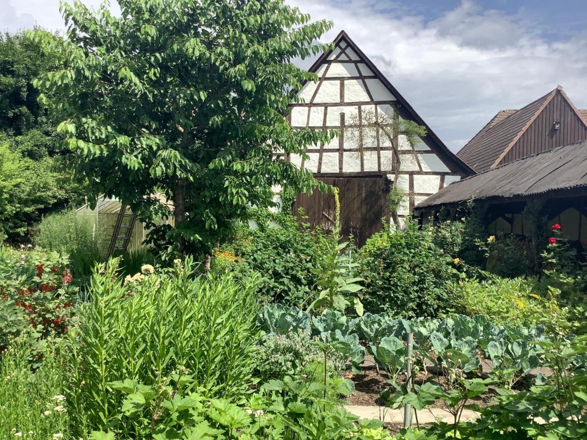 Gasthof Hirschenbraeu Michel Rauhenebrach 外观 照片